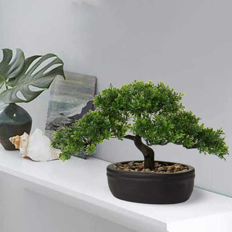 Primrue 9'' Faux Bonsai Tree Wayfair Canada